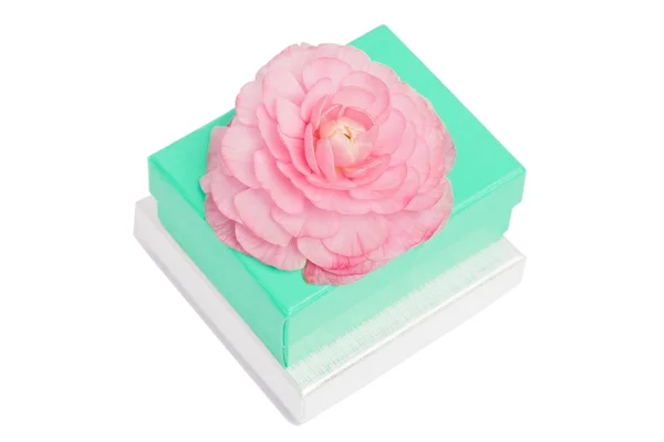 Gift boxes with chrysanthemum on top — Stock Photo, Image