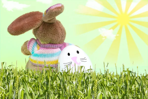 Wielkanoc buny i jajko królik — Zdjęcie stockowe