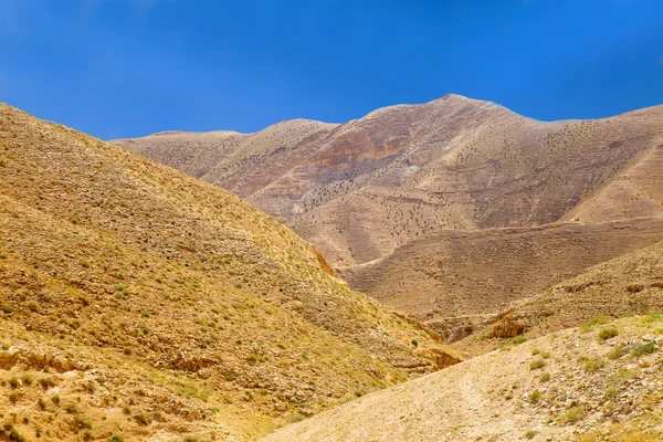 Amazing desert colors under blue sky — Stock Photo, Image