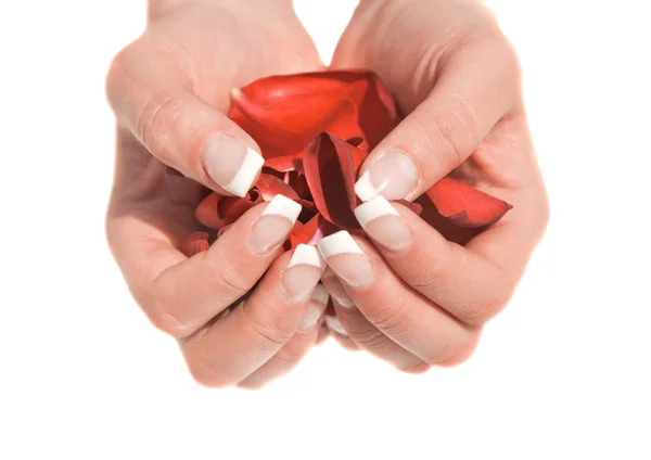 Woman hands with rose petals on white — Stock Photo, Image