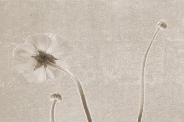 Vintage doku çiçek flip tarafı