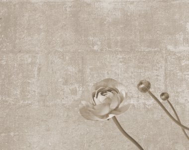 Vintage doku Şakayık çiçeği ile