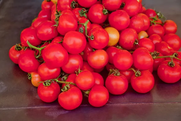 Selection of fresh tomatoes — Stock Photo, Image