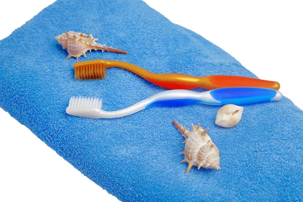 Due spazzolini da denti di colore diverso — Foto Stock