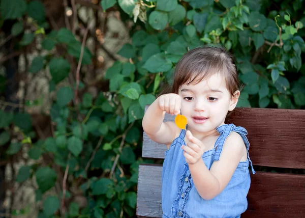 Ilk sonbahar yaprak — Stok fotoğraf