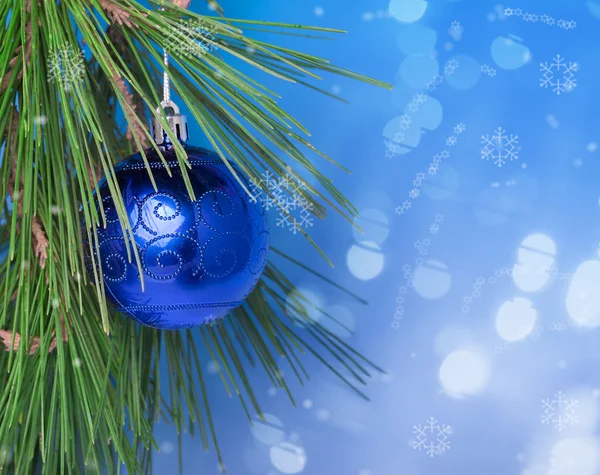 Bola azul de Navidad en una rama — Foto de Stock