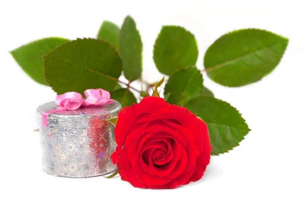 Red rose and a gift — Stock Photo, Image