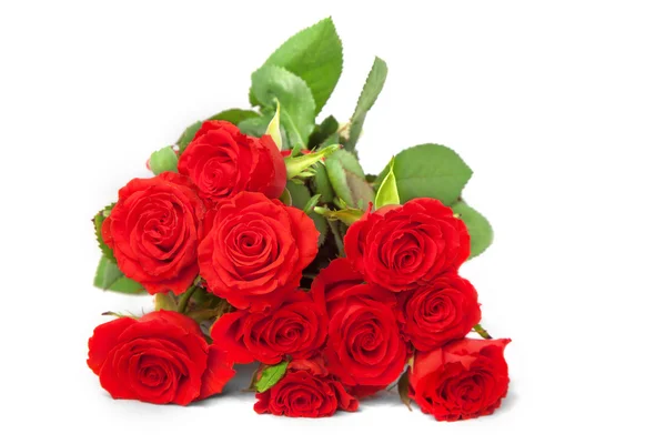 Bunch of Scarlet Roses — Stock Photo, Image