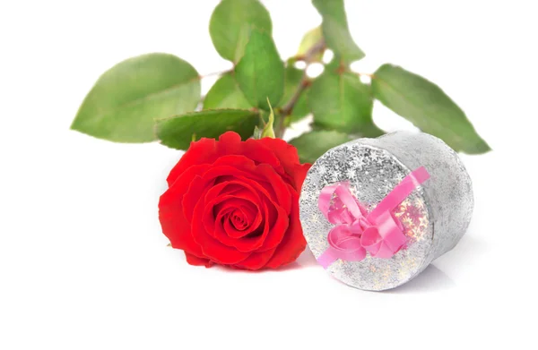 Piccola rosa scarlatta e regalo — Foto Stock