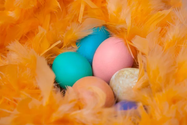 Portre üzerinde Paskalya yumurtaları — Stok fotoğraf