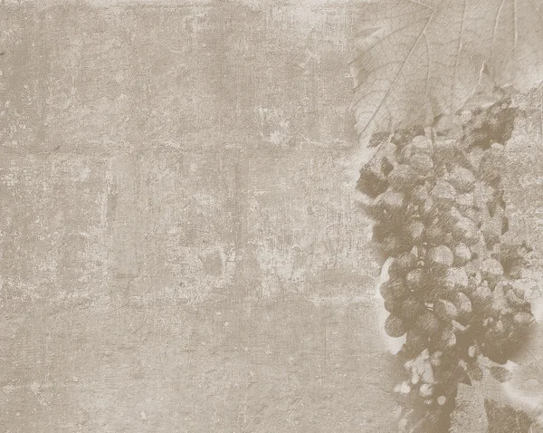 Vintage texture with grape sketch — Stock Photo, Image