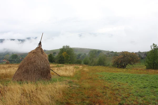 Misty hills with grass and a haystack — Stock Photo, Image