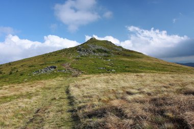 yeşil bir dağın tepesine giden yol