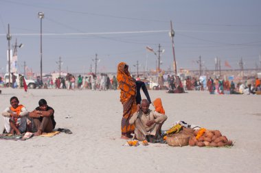 Hindistan cevizi ve çiçekler Hint aile satıyor