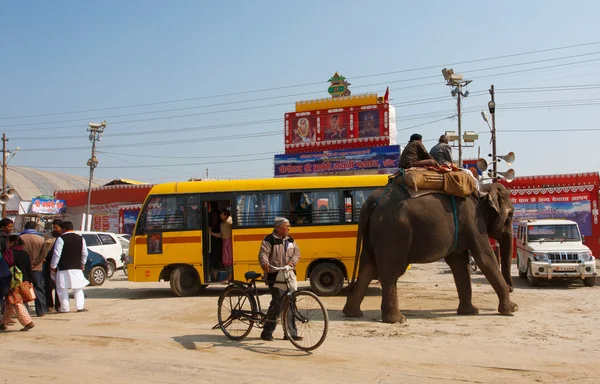 Elefanten och indiskt på busshållplatsen — Stockfoto