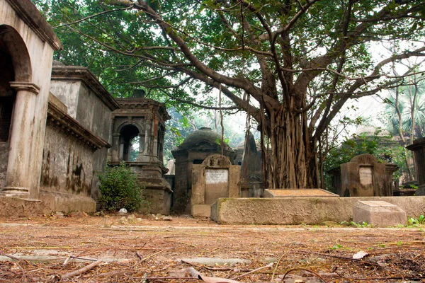 Árboles viejos y lápidas antiguas en el cementerio asiático —  Fotos de Stock