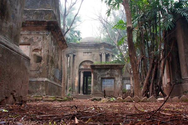 Alte Bäume und alte Grabsteine auf dem asiatischen Friedhof — Stockfoto