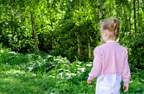 公園内の小さな女の子 walkink。背面図 — ストック写真