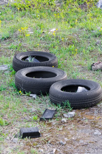 Gamla däck i skogen — Stockfoto