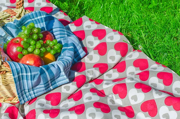 Picnic basket with fruits on a blanket in the park — Stock Photo, Image