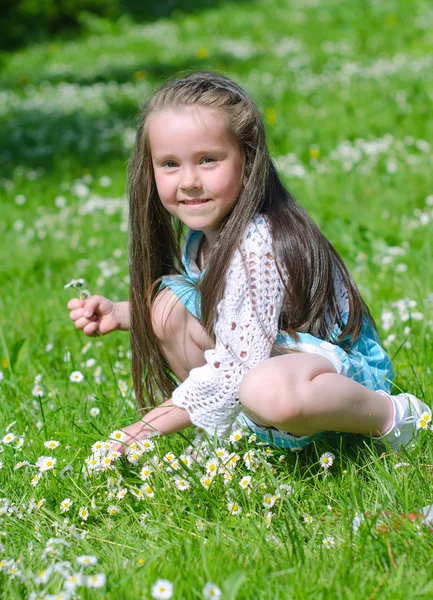 Little girl gathering flowers in summer park — Stock Photo, Image