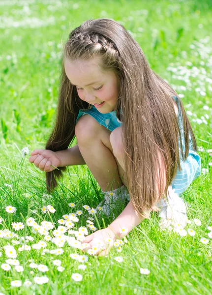 Liten flicka samla blommor i sommar park — Stockfoto