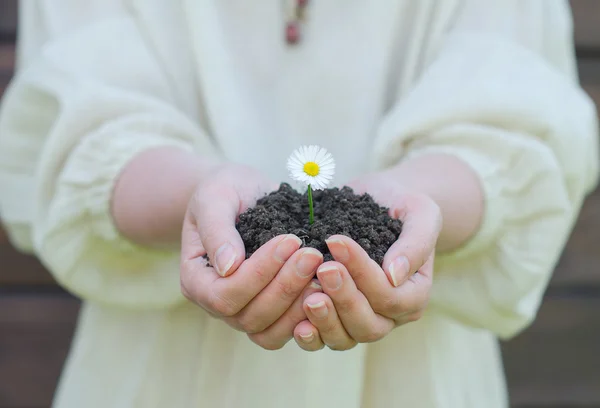 Kvinnliga händer som håller jorden med vit blomma — Stockfoto
