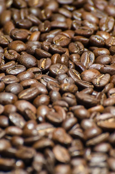 Roasted coffee beans close-up background — Stock Photo, Image