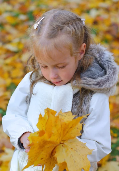 Küçük kız düşmüş sonbahar sulak işi bırakıyor. — Stok fotoğraf