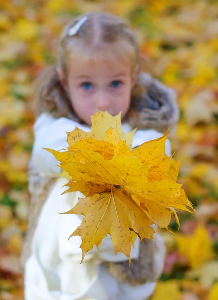 Little girl gives fallen leaves to someone. — Stock Photo, Image