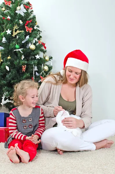 Woman and little girl playing with cat at Christmas — Stock Photo, Image