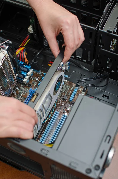 Hands of technician installing graphic card — Stock Photo, Image