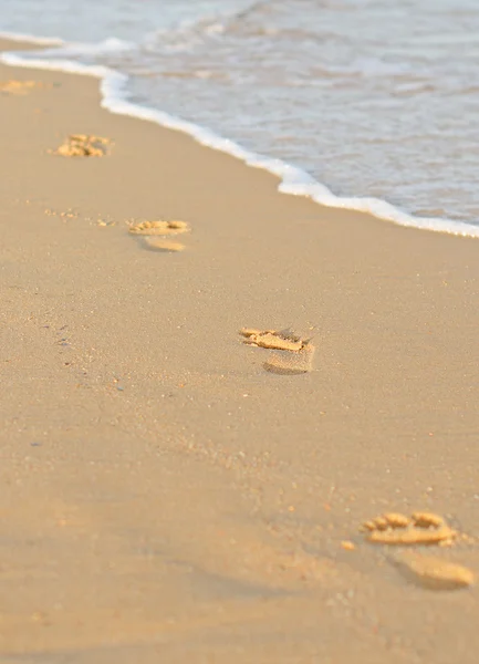 Sporen op een zand in de buurt van de zee — Stockfoto