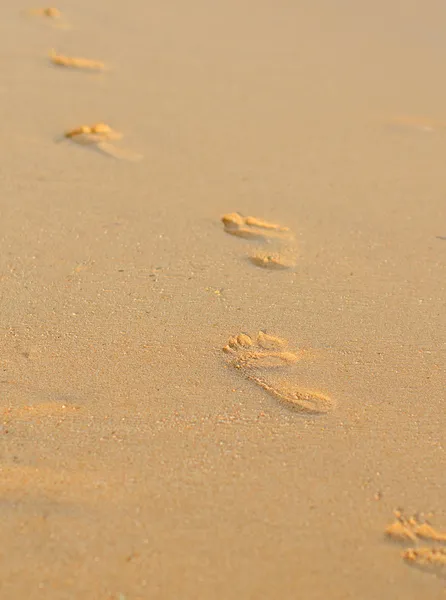 Voetafdrukken op een zandstrand — Stockfoto