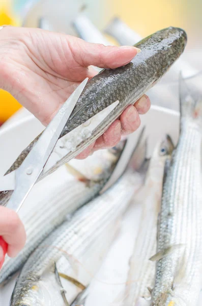 Hembra manos limpieza pescado con tijeras . —  Fotos de Stock