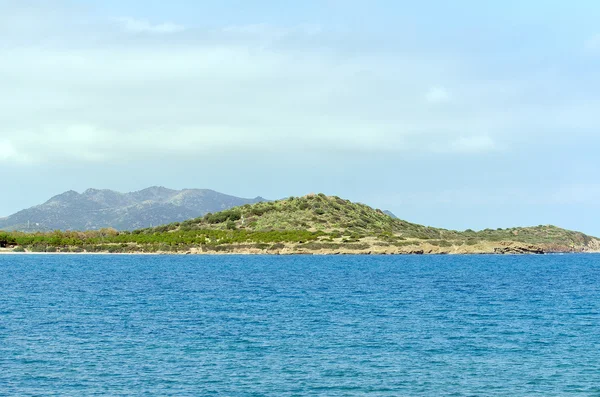 Jardín de árboles en una colina cerca del mar . — Foto de Stock