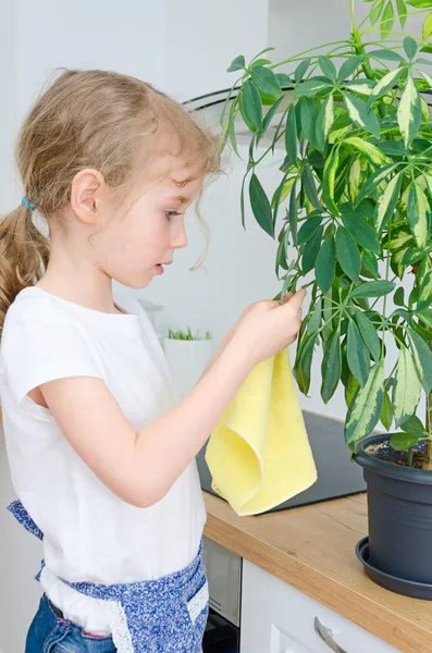 Little girl wipes dust from the flower leaves. — Stock Photo, Image