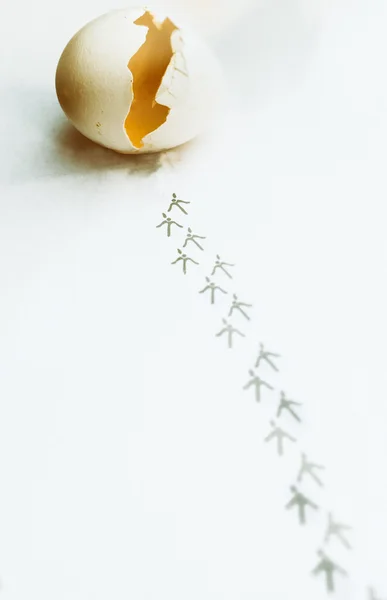 Курка втекла з яйця. Концепція втечі . — стокове фото