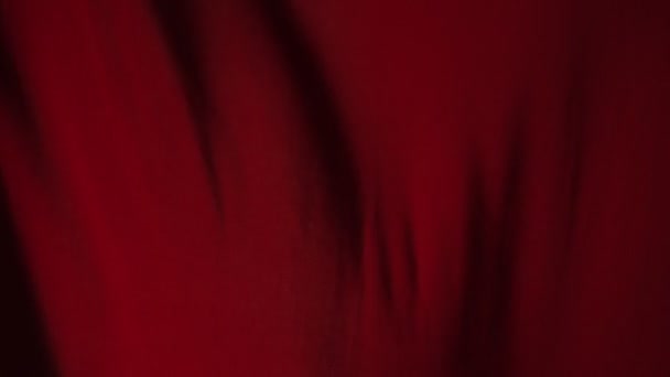 Wavy Silk Red Cloth Fluttering Suitable Background Advertising — Stock Video