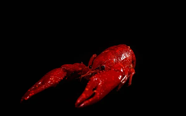 黑色背景的烧焦的路易斯安那州小龙虾 — 图库照片
