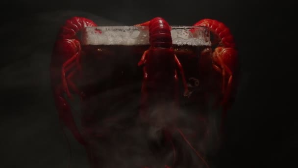 Boiled Crawfish Crawfish Hanging Beer Glass — Stock Video