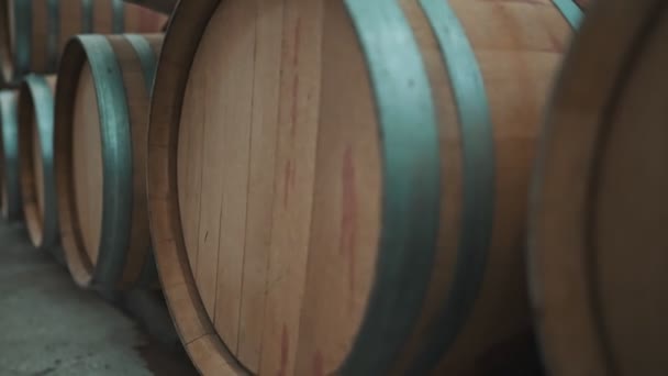 Wine Barrels Stacked Cellar — Stock Video