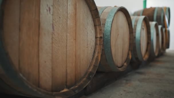 Wine Barrels Stacked Cellar — Stock Video