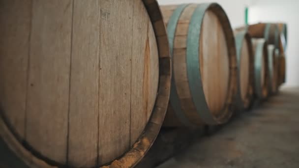 Şarap Fıçıları Mahzende Yığılmış — Stok video