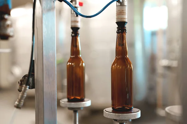 Empty Bottles Prepared Beer Filling — Stock Photo, Image