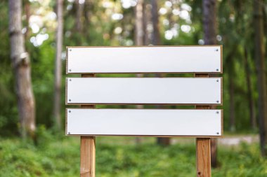 Yaz ormanındaki boş tabela. Metnin için yer.