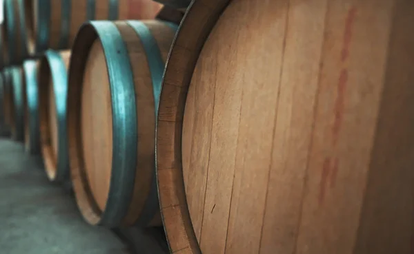 Wine Barrels Stacked Cellar — Stock Photo, Image