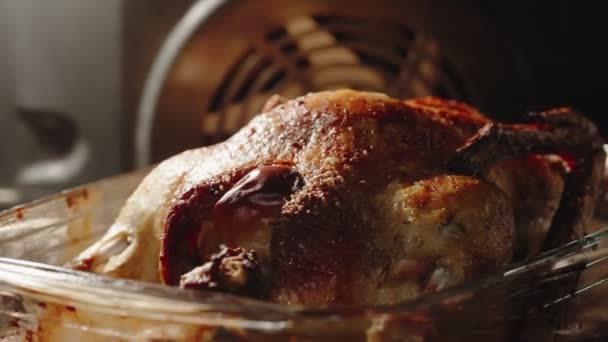 Bebek Panggang Dengan Apel Dalam Oven — Stok Video