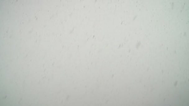 Neve Che Cade Sullo Sfondo Del Cielo Inverno — Video Stock