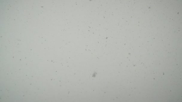 冬天的时候 天空下着雪 — 图库视频影像